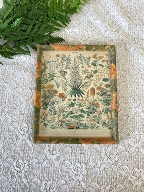 Vintage Wood Framed French Floral Chart 8x10